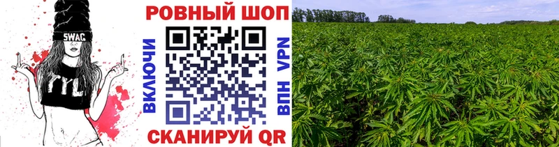 Купить наркотики Каменск-Шахтинский blacksprut маркетплейс A PVP Псилоцибиновые грибы ГАШИШ COCAIN