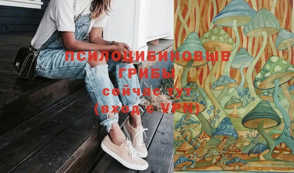 мдпв Пересвет