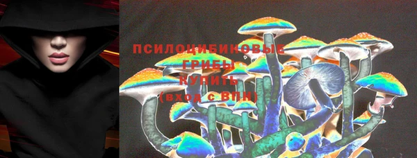 круглые Абаза
