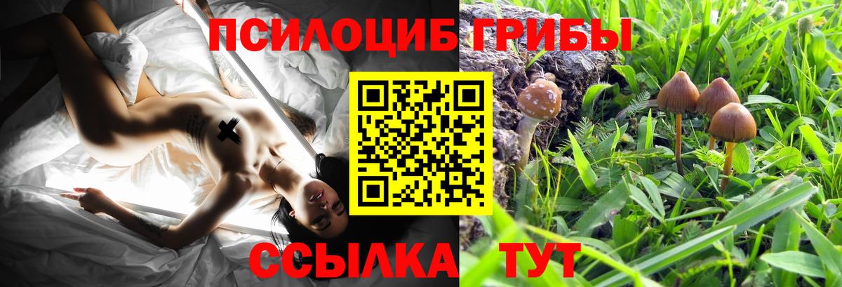 Галлюциногенные грибы прущие грибы  Галлюциногенные грибы Psilocybine cubensis  Вход с VPN  Каменск-Шахтинский 
